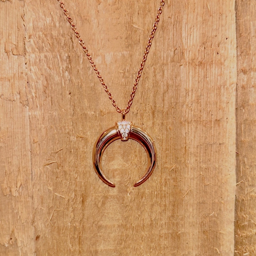 Rose Gold Crescent/Horn Necklace